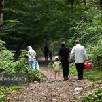 (تصاویر) مسافران تابستانی در پارک جنگلی ناهارخوران گرگان