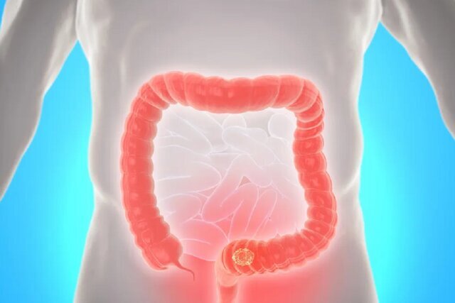 Wp Header Logo 1959.png