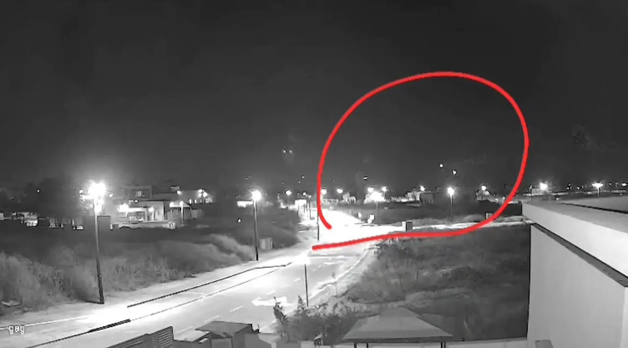 Wp Header Logo 233.png