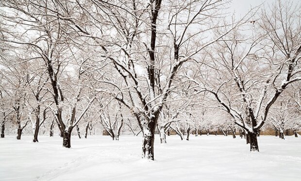 Wp Header Logo 1540.png