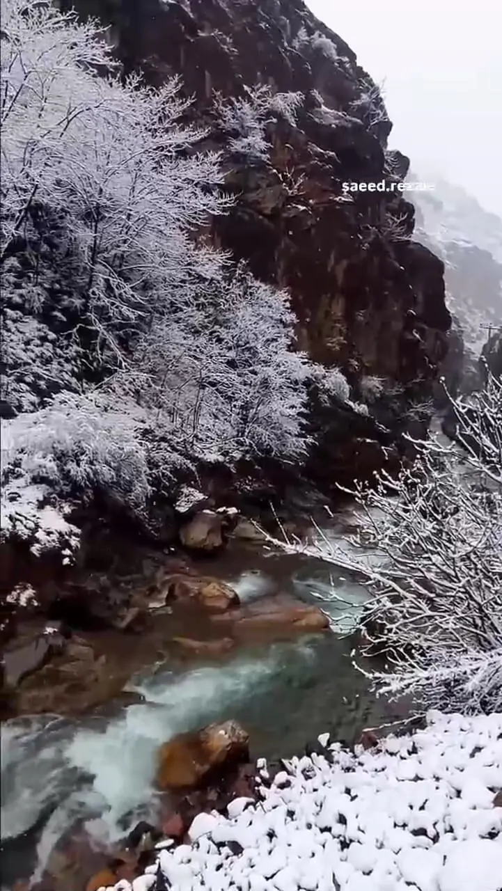 Wp Header Logo 112.png