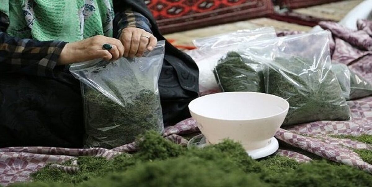 Wp Header Logo 143.png