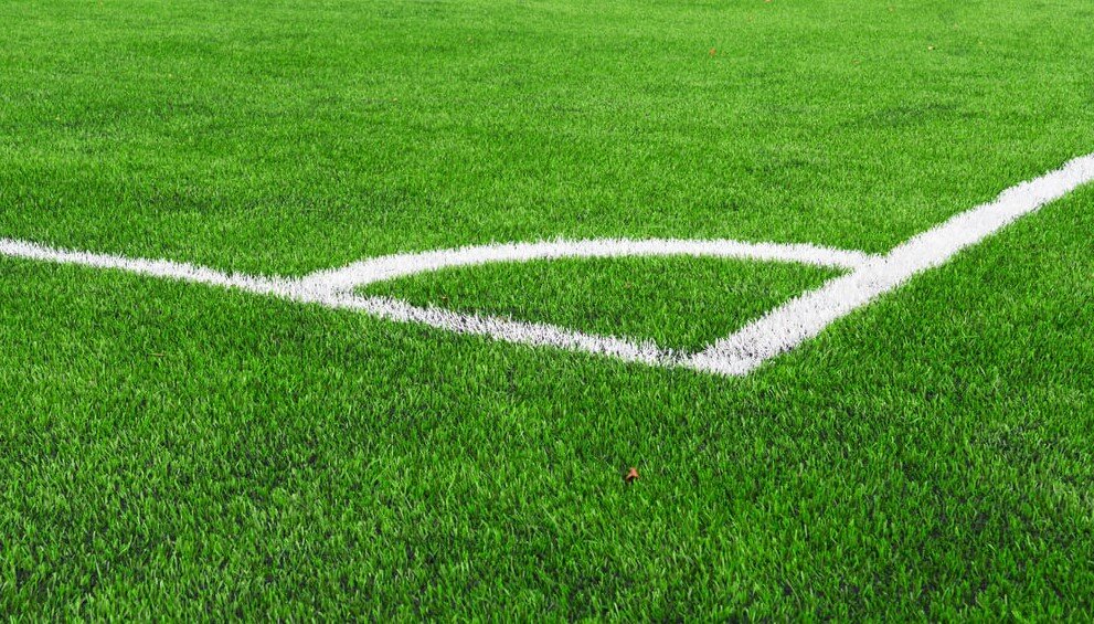 Wp Header Logo 3113.png