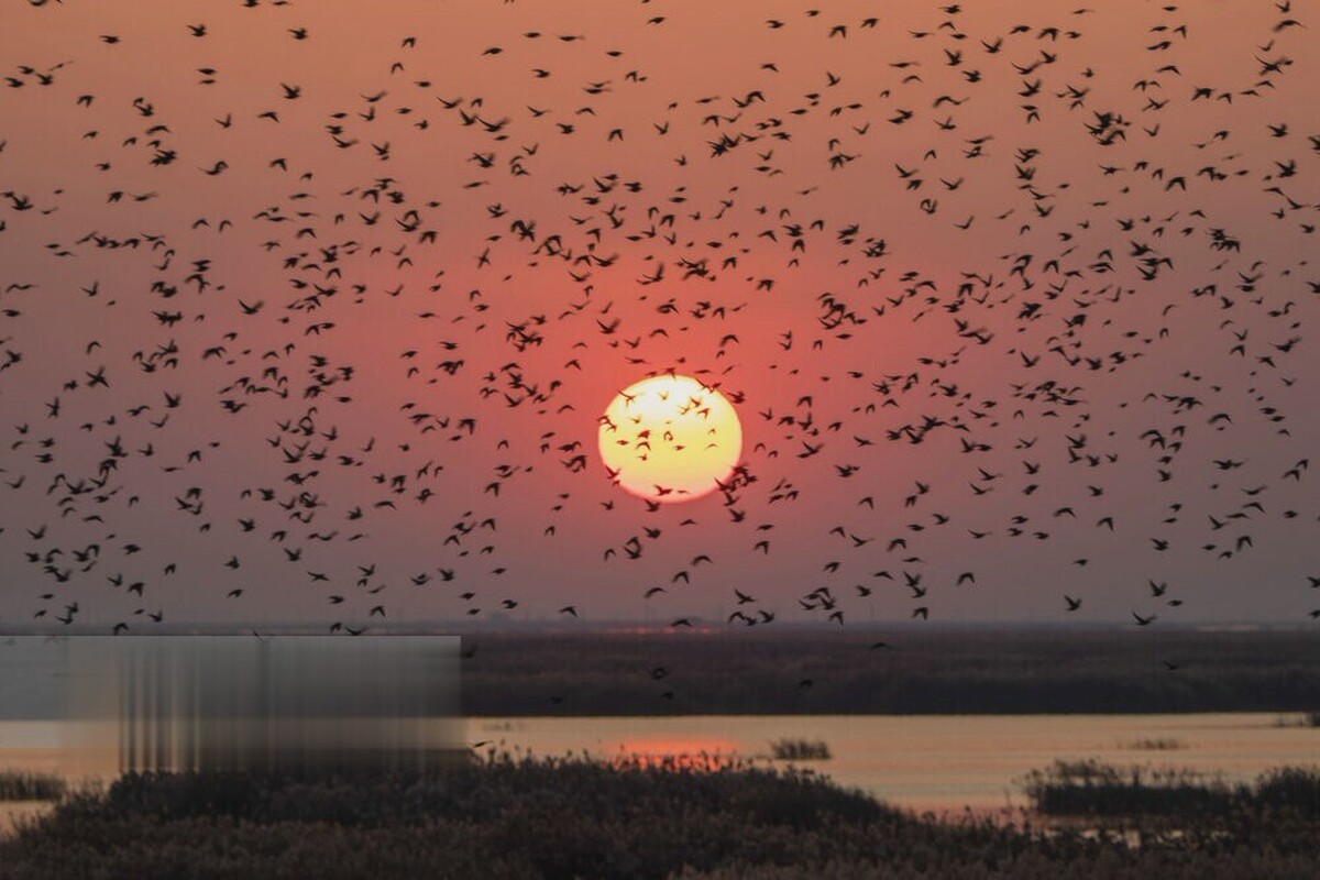 Wp Header Logo 220.png