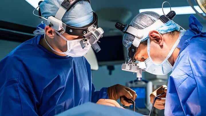 Wp Header Logo 443.png