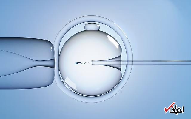 Wp Header Logo 1445.png