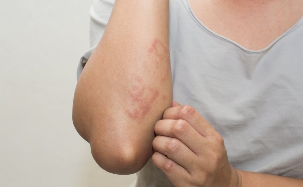 Wp Header Logo 1593.png