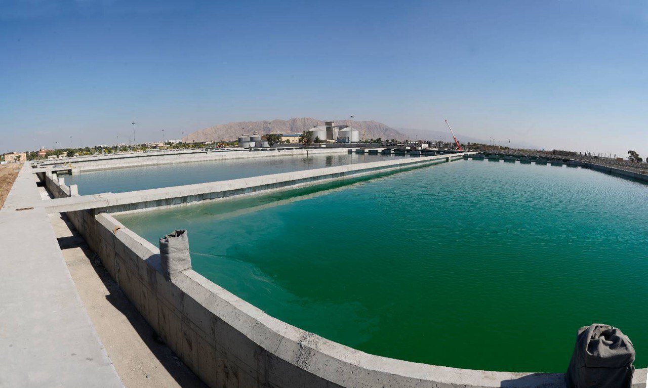 Wp Header Logo 2220.png