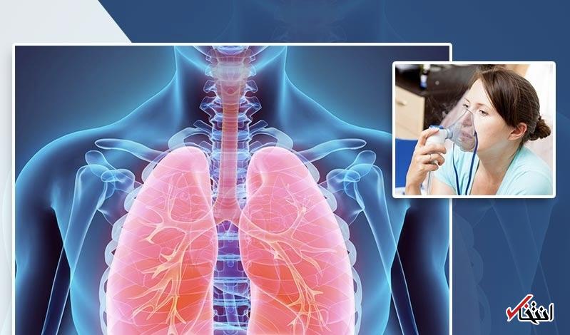 Wp Header Logo 2411.png