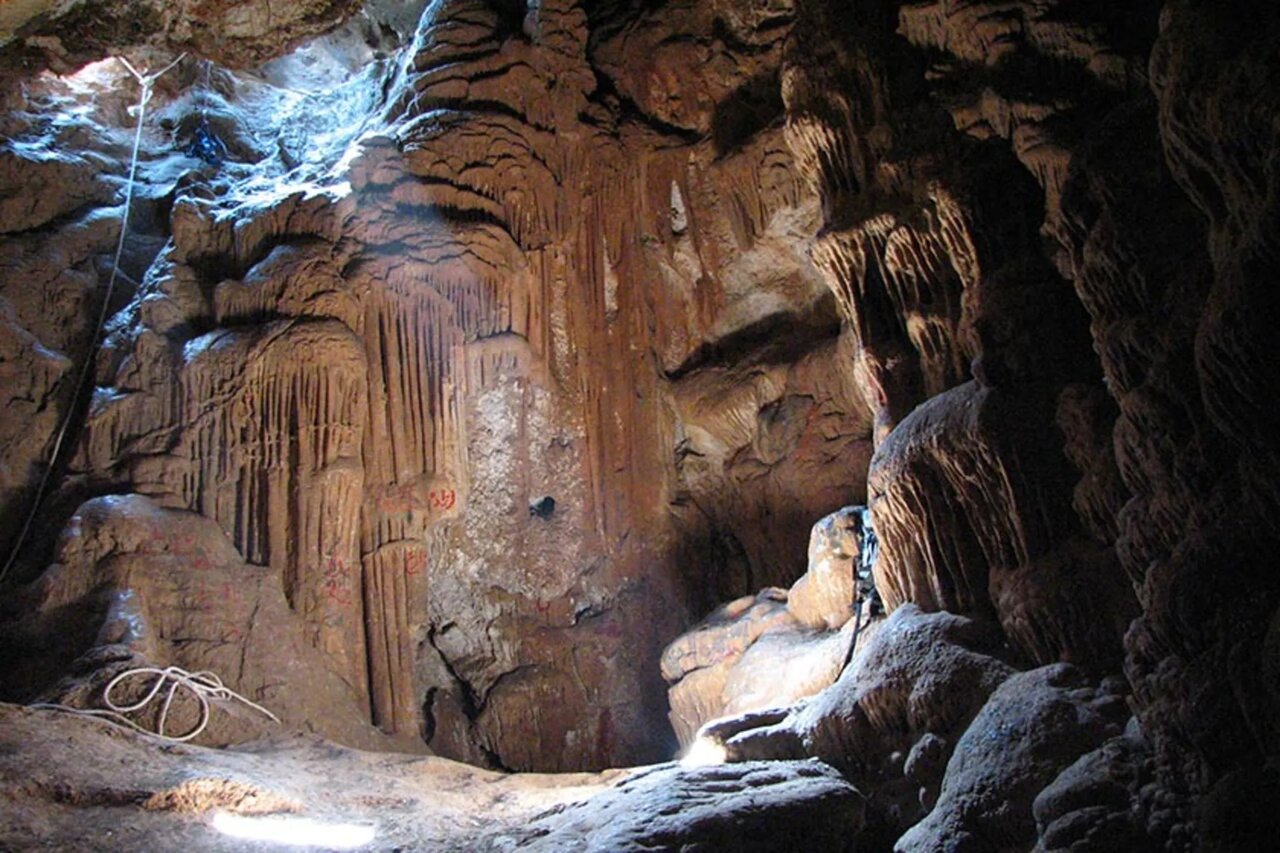 Wp Header Logo 723.png