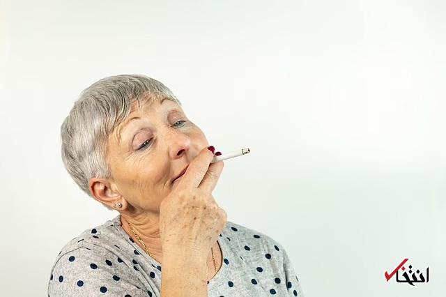 Wp Header Logo 880.png