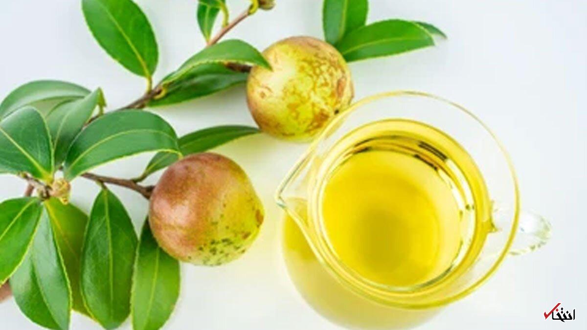 Wp Header Logo 1621.png