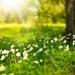 تفال به حافظ شنبه ۲7 اردیبهشت ۱۴۰۴؛ ای صبا گر بگذری بر ساحل رود ارس……