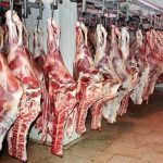 قیمت خرید حمایتی گوشت گوساله اعلام شد