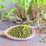 جوانه ماش برای چی خوبه ؟ ؛ طرز مصرف جوانه ماش + روش تهیه جوانه ماش