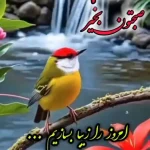 تفسیر فال حافظ یکم خرداد + فیلم