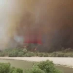 فیلم آتش‌سوزی گسترده در پارک ملی دز / نیروها به حالت آماده باش درآمدند