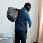 اعترافات عجیب جوان مرفه: نه برای پول، برای هیجان دزدی می‌کردم!