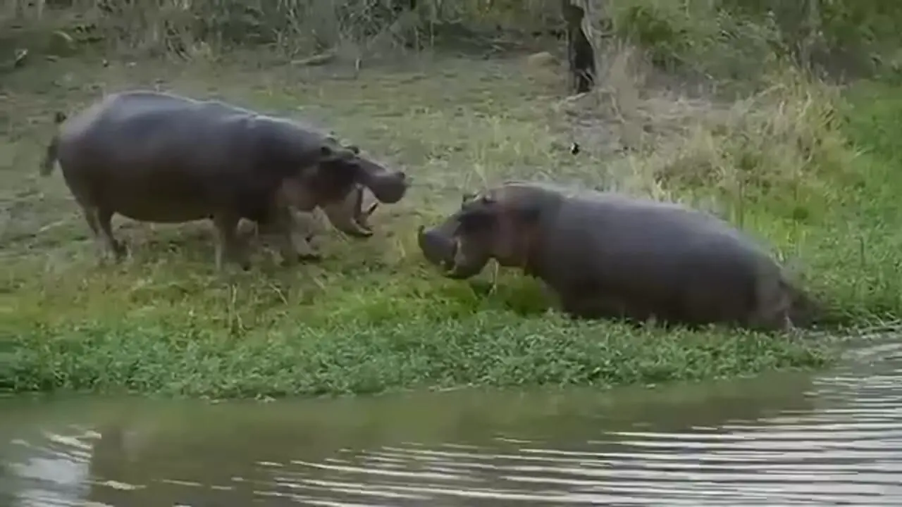 Wp Header Logo 2768.png