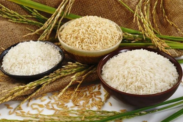 Wp Header Logo 2914.png