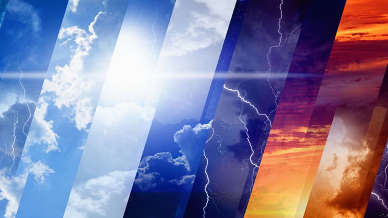 Wp Header Logo 294.png