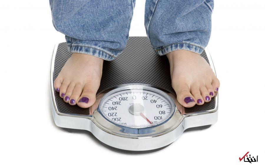 Wp Header Logo 3311.png