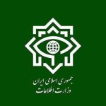 اطلاعیه مهم وزارت اطلاعات درباره ضربه به یک ابرشبکه قاچاق به ارزش بیش از ۱۵۰ هزار میلیارد تومان
