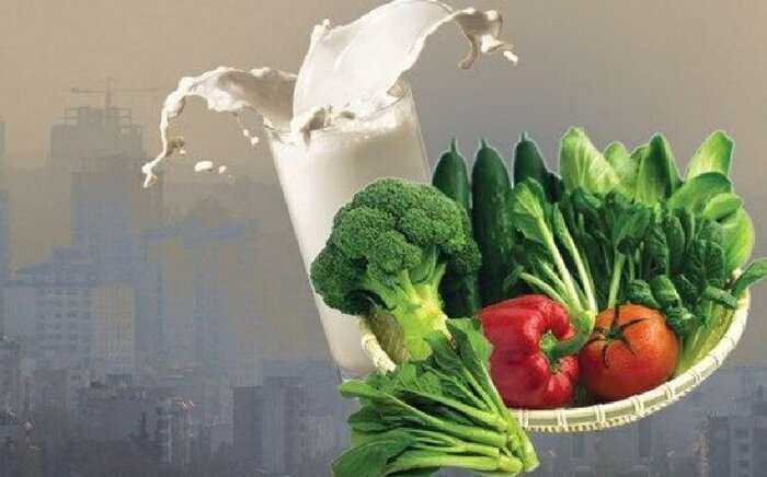 Wp Header Logo 1111.png
