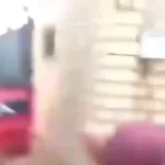 2. فیلم لحظه وحشتناک لگد گاو به صورت مرد