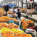 روستا بازارها گام استوار در حمایت از کشاورزان