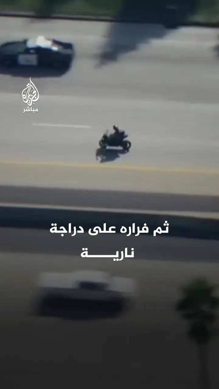 Wp Header Logo 1239.png