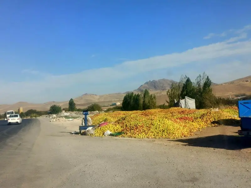 Wp Header Logo 1278.png