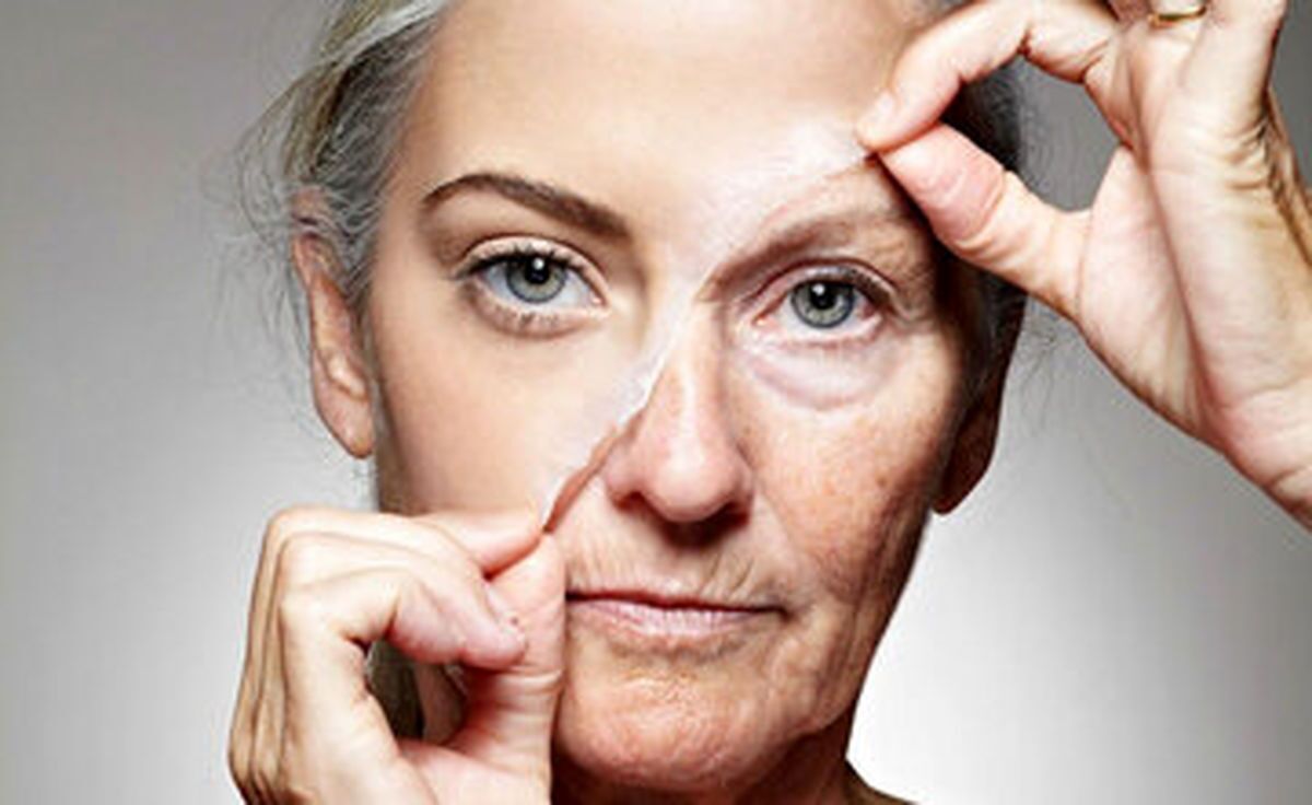 Wp Header Logo 1395.png