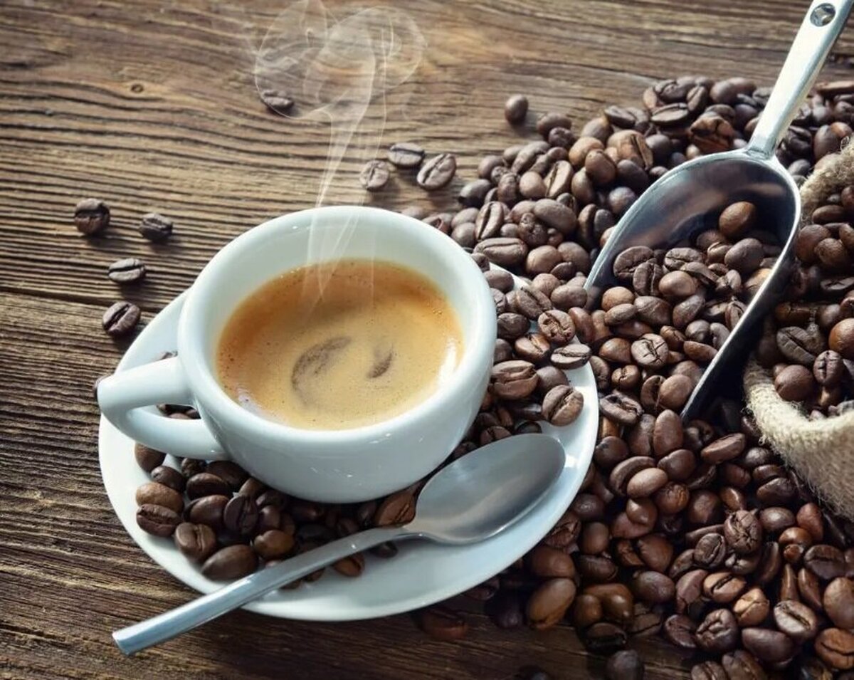 Wp Header Logo 1414.png