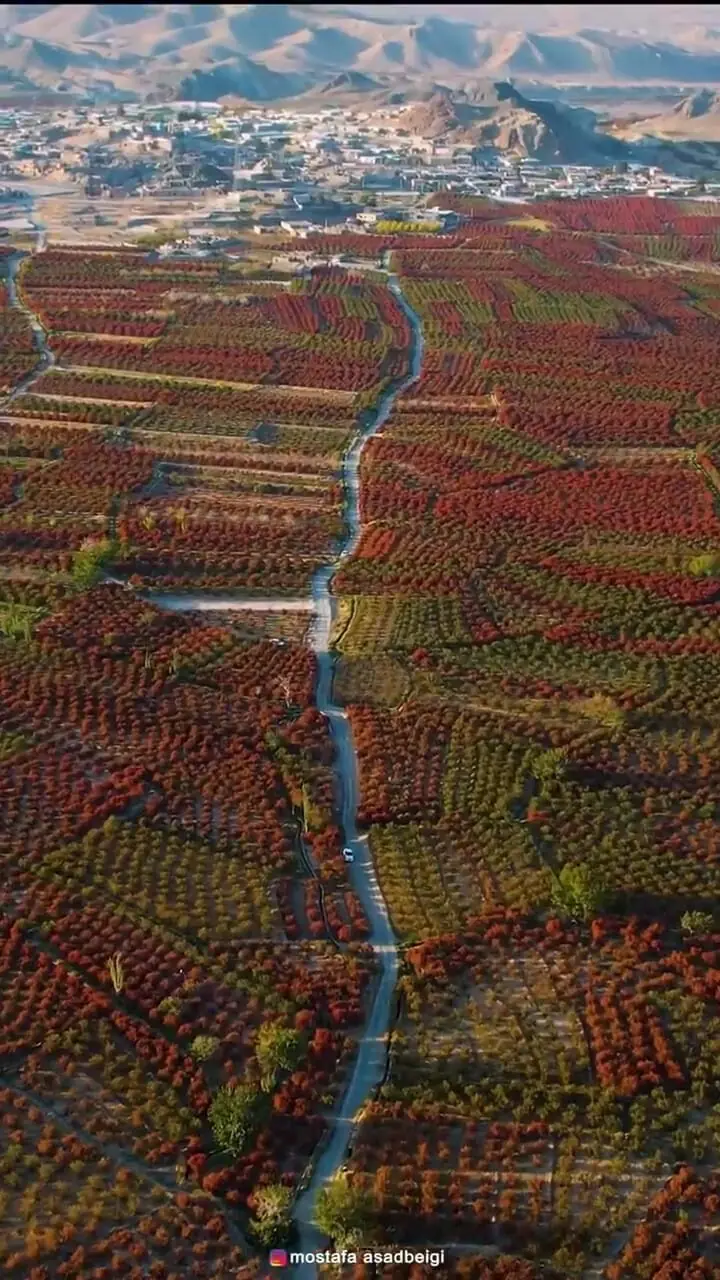 Wp Header Logo 1429.png