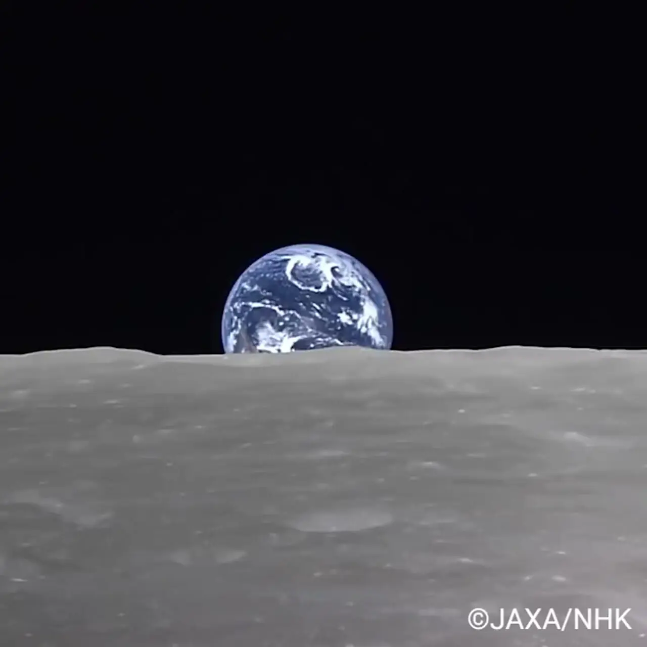 Wp Header Logo 1482.png