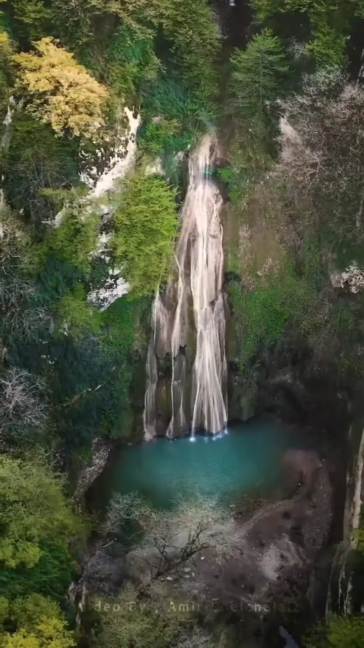 Wp Header Logo 1498.png