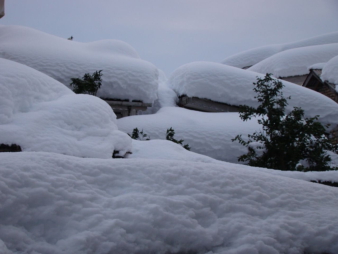 Wp Header Logo 1515.png