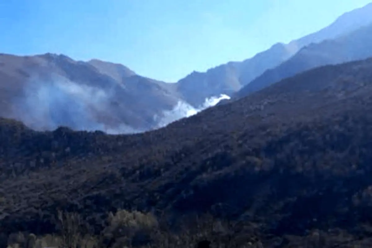 Wp Header Logo 105.png