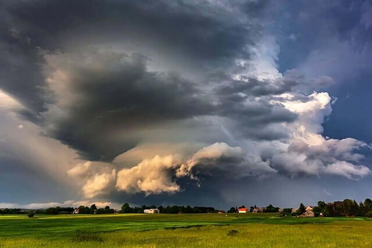 Wp Header Logo 1235.png