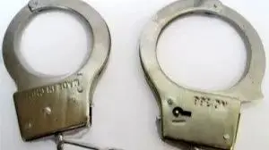 Wp Header Logo 1243.png