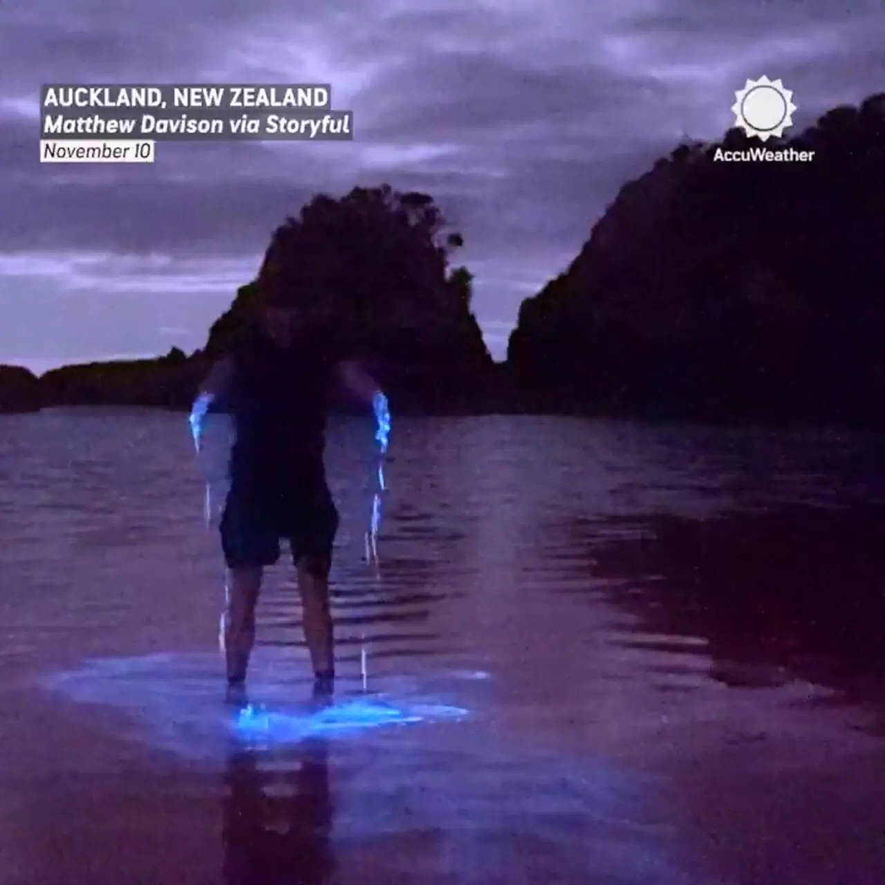 Wp Header Logo 1313.png