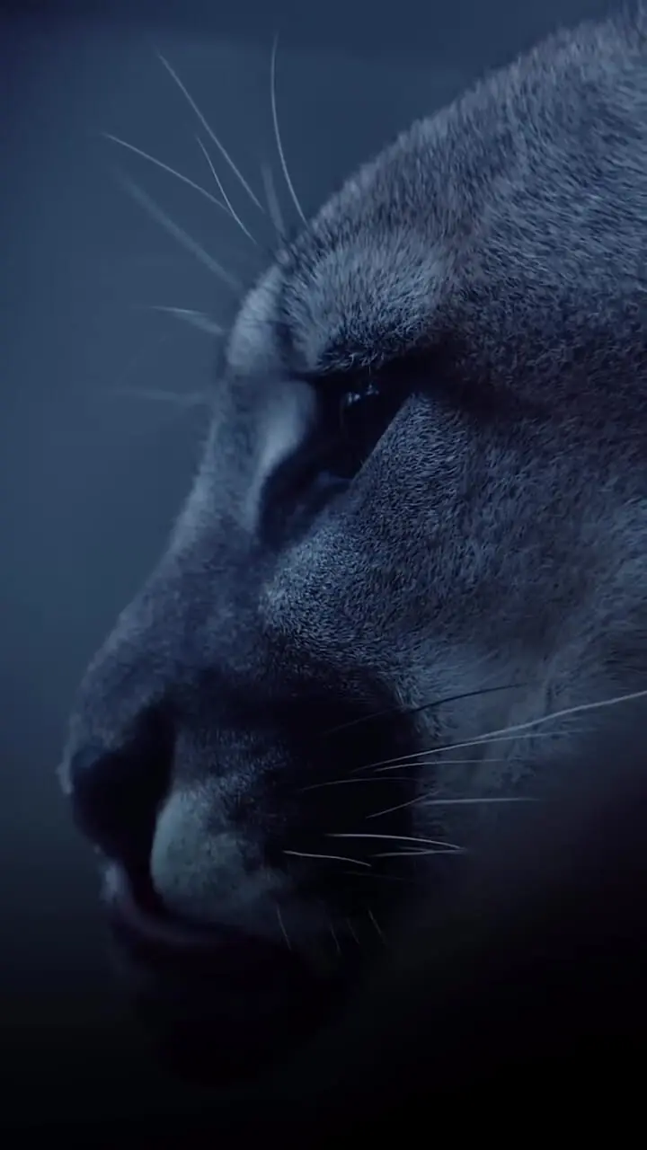 Wp Header Logo 1321.png