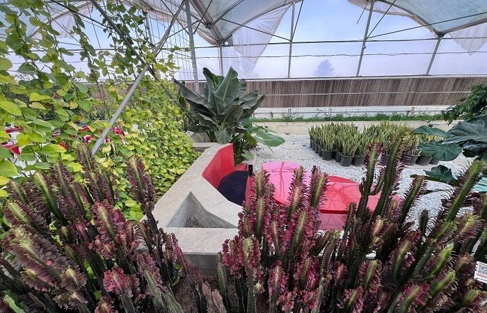 Wp Header Logo 1338.png