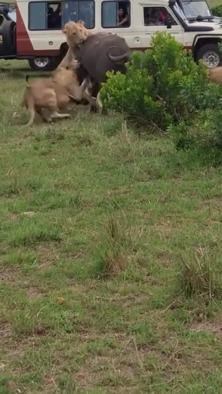 Wp Header Logo 1356.png