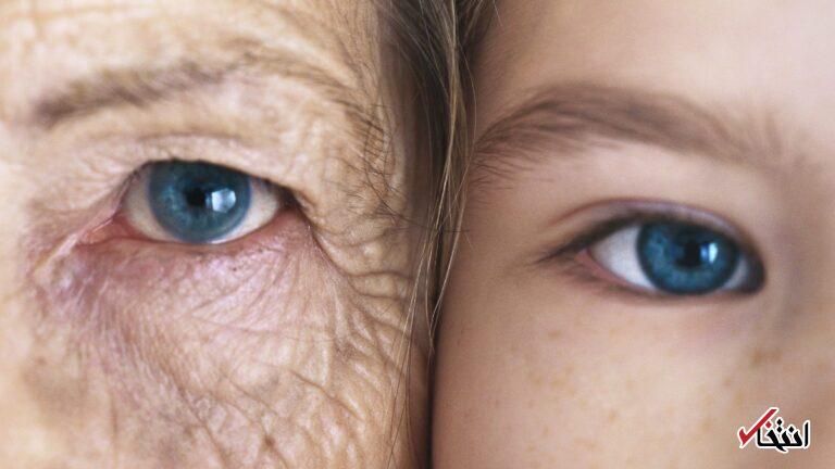 Wp Header Logo 1425.png