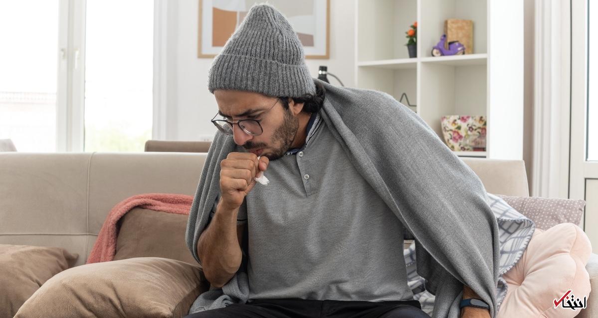 Wp Header Logo 1433.png