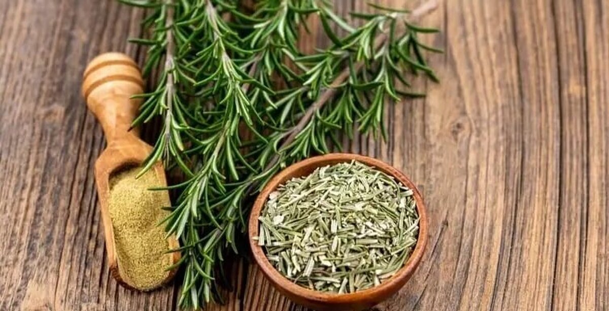 Wp Header Logo 1453.png