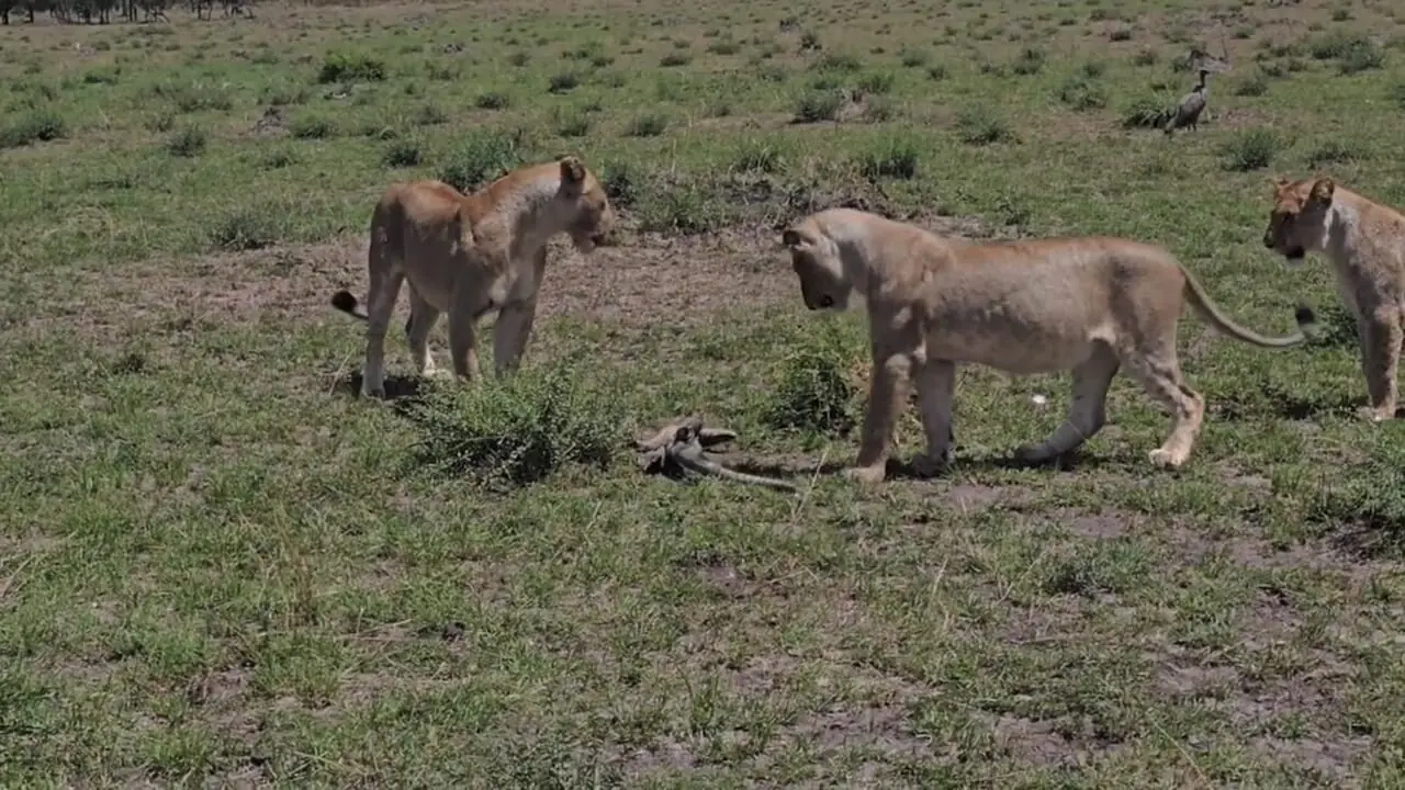 Wp Header Logo 1855.png