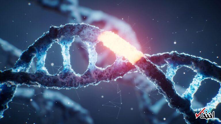 Wp Header Logo 3132.png